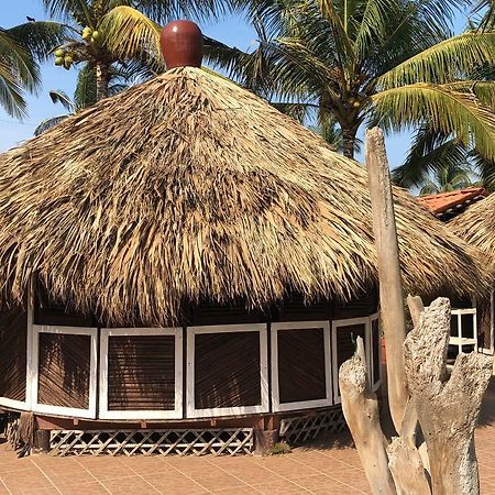 Hotel El Papalote Ecologico Borrego Exteriér fotografie